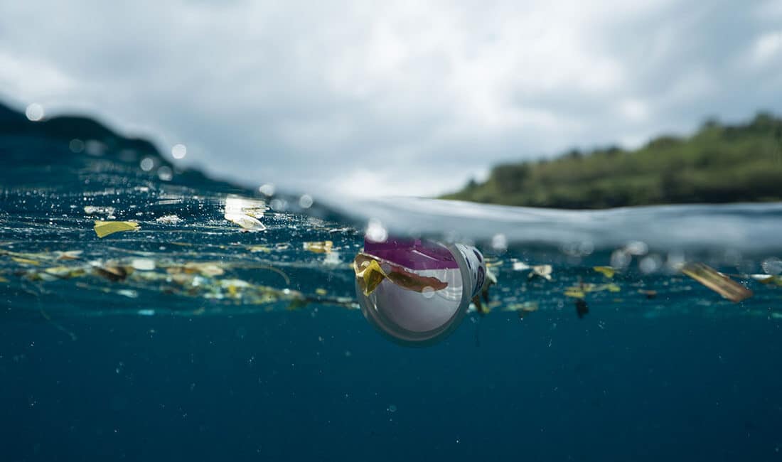 Processo di transizione ecologica per garantire uno sviluppo sociale sostenibile